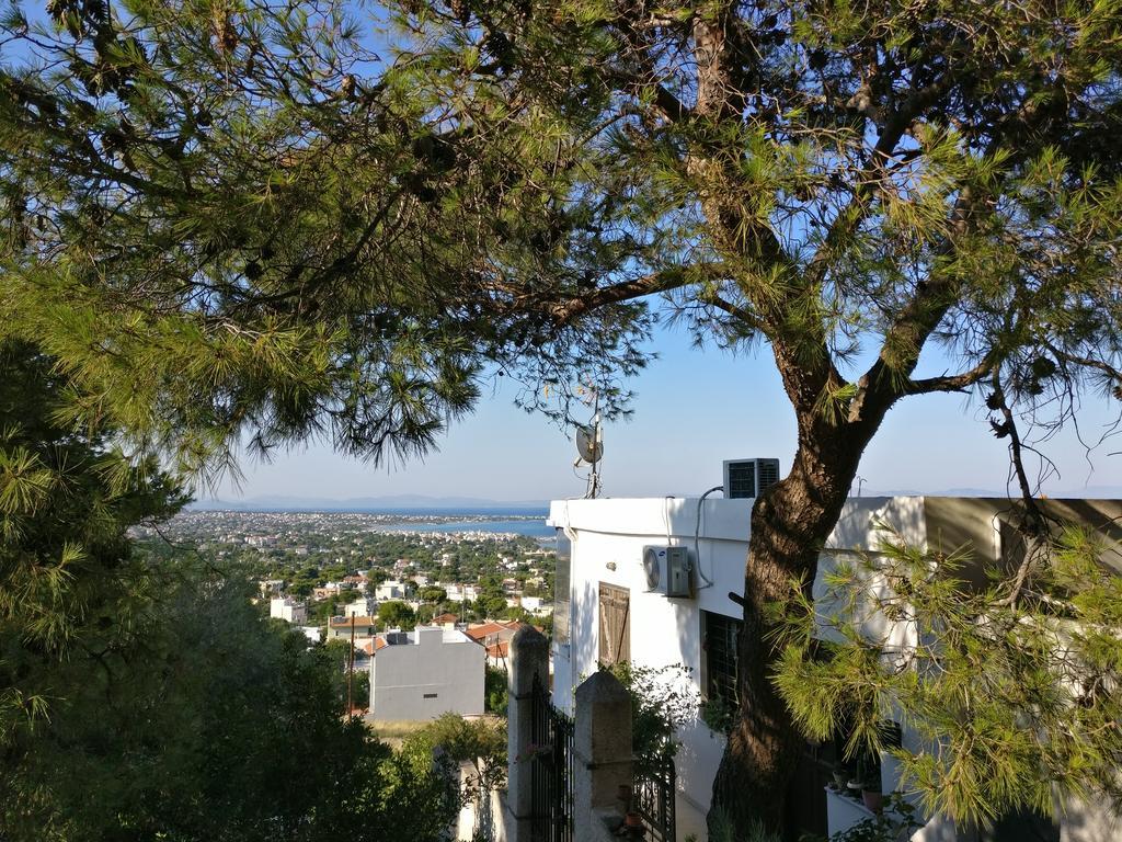Goddess Artemis Balcony Луца